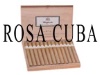 Rosa Cuba Angels Medium Brown